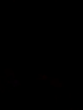  LAN  online show from March 9, 9:51 pm