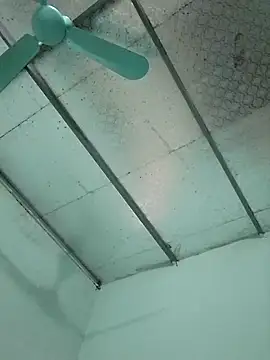  LAN  online show from October 24, 1:37 am