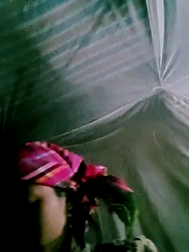 Menu x online show from November 21, 3:11 pm