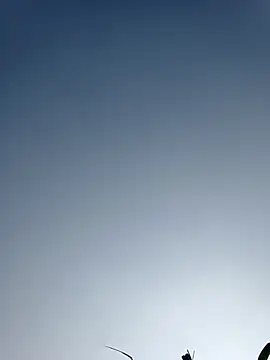 Menu x online show from January 13, 8:07 am