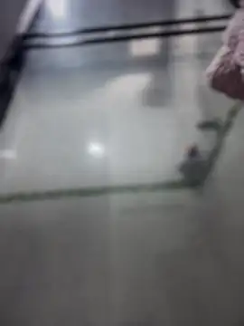 Violeet-Smith online show from March 27, 2:51 pm