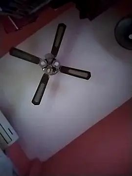 Danii2005 online show from October 30, 1:42 pm