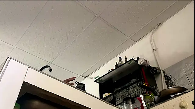 Abby Evanns1 online show from January 8, 2:34 pm