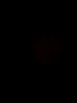 MFUE2020 online show from November 12, 11:58 am