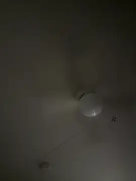 D13ON3L online show from November 8, 8:07 am