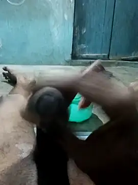 Snapshot of naveen_3222 chatting on November 25, 4:07 pm naveen 3222 online show from November 25, 4:07 pm