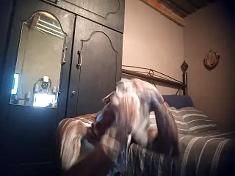 Pussylover911o online show from November 23, 2:43 am