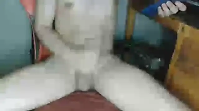 DevilDgrim online show from May 25, 1:16 am