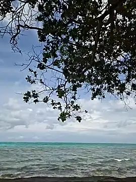 Trissa Benson online show from October 31, 6:04 pm