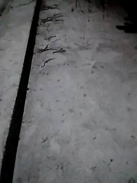 rickkis2k online show from December 17, 9:42 pm