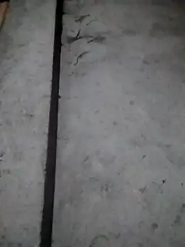 Snapshot of rickkis2k chatting on December 16, 10:14 pm rickkis2k online show from December 16, 10:14 pm