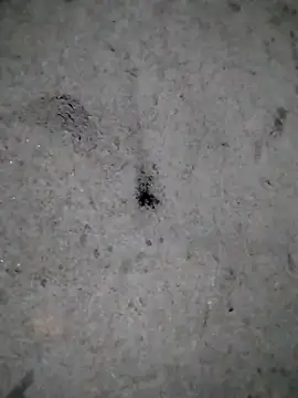 rickkis2k online show from December 21, 11:05 pm