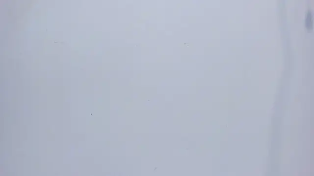 mirandaduboiss online show from April 13, 5:06 pm