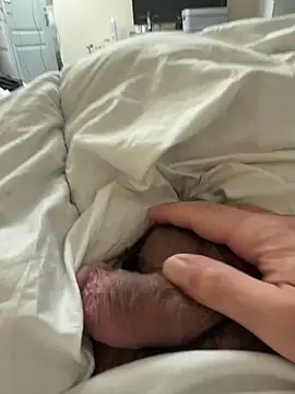 Snapshot of BicolorCandidate81 chatting on October 30, 12:47 pm BicolorCandidate81 online show from October 30, 12:47 pm