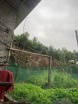 Snapshot of Irin_jo chatting on February 1, 12:31 am Irin jo online show from February 1, 12:31 am