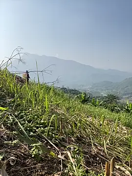 Irin jo online show from November 23, 6:45 am