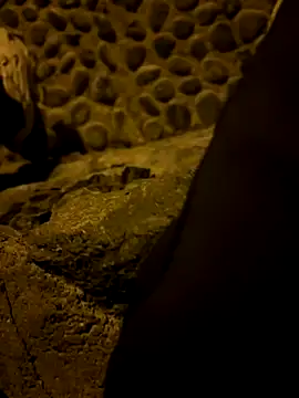 Snapshot of Rico1_1 chatting on November 14, 9:40 pm Rico1 1 online show from November 14, 9:40 pm