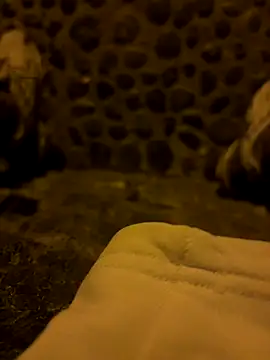 Snapshot of Rico1_1 chatting on November 18, 10:45 pm Rico1 1 online show from November 18, 10:45 pm