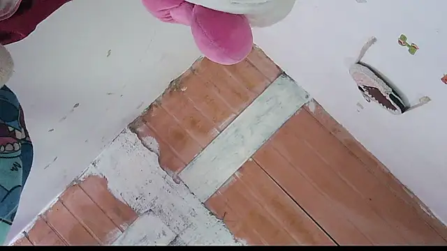 ReferredArtwork online show from November 11, 7:19 pm