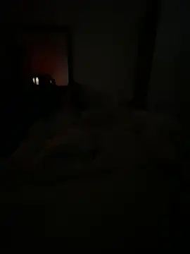 Snapshot of llllllllIIIll chatting on February 17, 4:43 am llllllllIIIll online show from February 17, 4:43 am