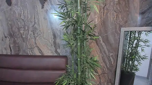 Snapshot of sydney_miller_ chatting on November 13, 11:30 pm sydney miller online show from November 13, 11:30 pm