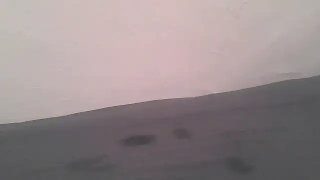 Femaleking29 online show from November 8, 10:19 am