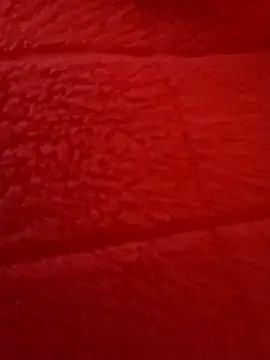 Snapshot of kendra666 chatting on October 27, 6:20 pm kendra666 online show from October 27, 6:20 pm