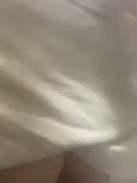 Evelinmiller97 online show from November 2, 11:21 pm