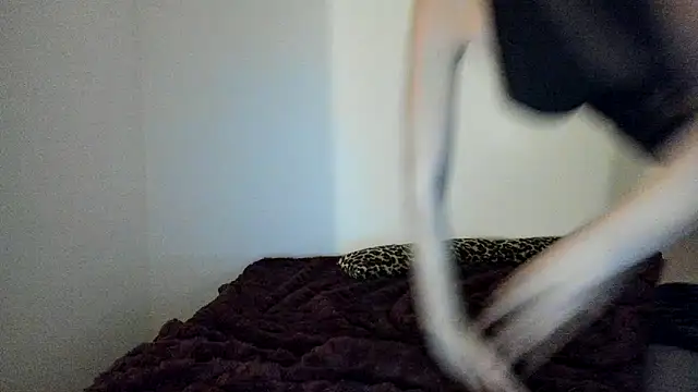 Snapshot of Blueskynicci chatting on November 18, 4:54 pm Blueskynicci online show from November 18, 4:54 pm