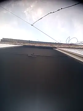 Scorpion05  online show from November 5, 10:57 pm