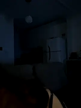 Snapshot of dorneles20 chatting on November 29, 3:28 am dorneles20 online show from November 29, 3:28 am