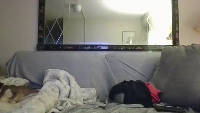 Snapshot of KosherCo313 chatting on December 4, 9:30 am KosherCo313 online show from December 4, 9:30 am