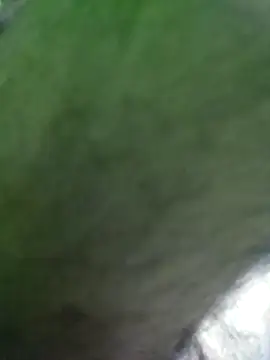 Morbosnif online show from January 6, 9:30 pm