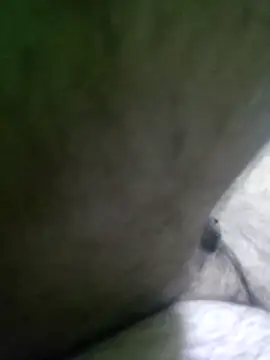 Morbosnif online show from December 21, 3:57 pm