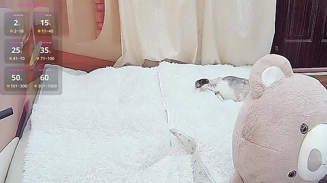 Dinan-y online show from January 13, 1:37 pm