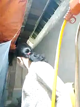 Snapshot of TRIEUTRIEU20 chatting on October 28, 1:39 am TRIEUTRIEU20 online show from October 28, 1:39 am