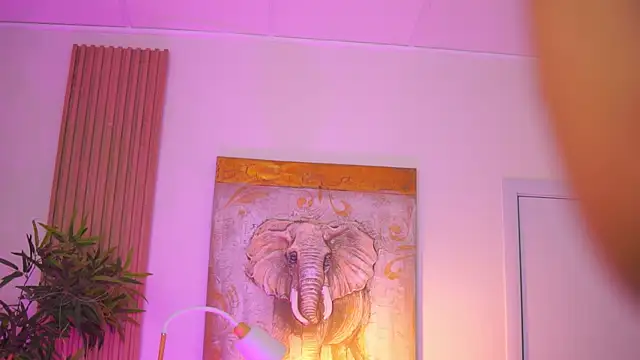 Snapshot of Aisha_Bee chatting on May 24, 9:31 am Aisha Bee online show from May 24, 9:31 am