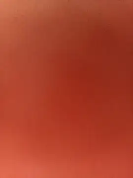 virgin-shy online show from November 20, 2:40 pm