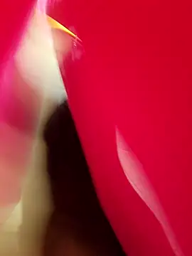 Snapshot of Electra777 chatting on October 26, 6:08 pm Electra777 online show from October 26, 6:08 pm