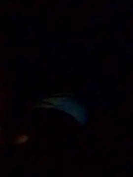 Poonam12A online show from February 6, 7:54 pm