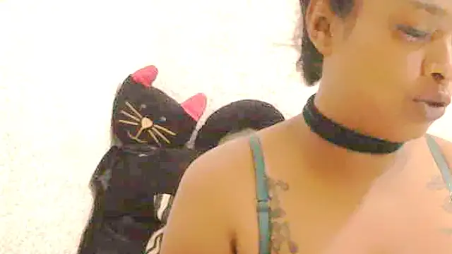 DOVE85 online show from December 14, 8:20 am