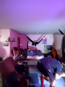 Fuckboyguyman online show from March 24, 8:36 am