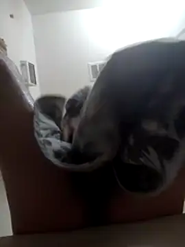 Fuckboyguyman online show from December 17, 6:51 am