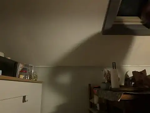 davi73d online show from December 14, 3:02 am