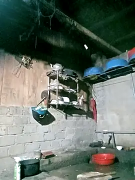 Noelle-e online show from March 20, 11:17 pm