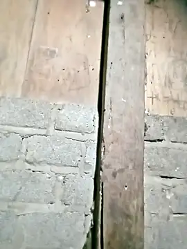 Noelle-e online show from February 22, 11:23 am