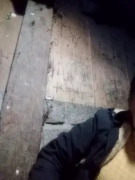 Noelle-e online show from January 9, 12:12 pm