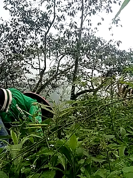 Phoena-a online show from March 24, 2:22 am