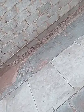 Snapshot of younggblackkCOCK19 chatting on November 3, 3:26 pm younggblackkCOCK19 online show from November 3, 3:26 pm