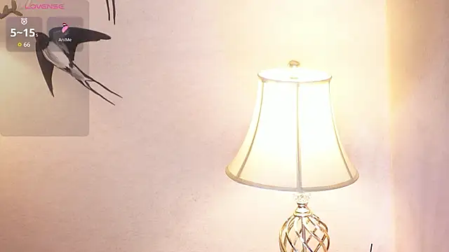 MissyFoxyy online show from February 25, 3:51 am